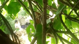 Secret Indian Couple Park Romantic Kissing Cuddle Experience